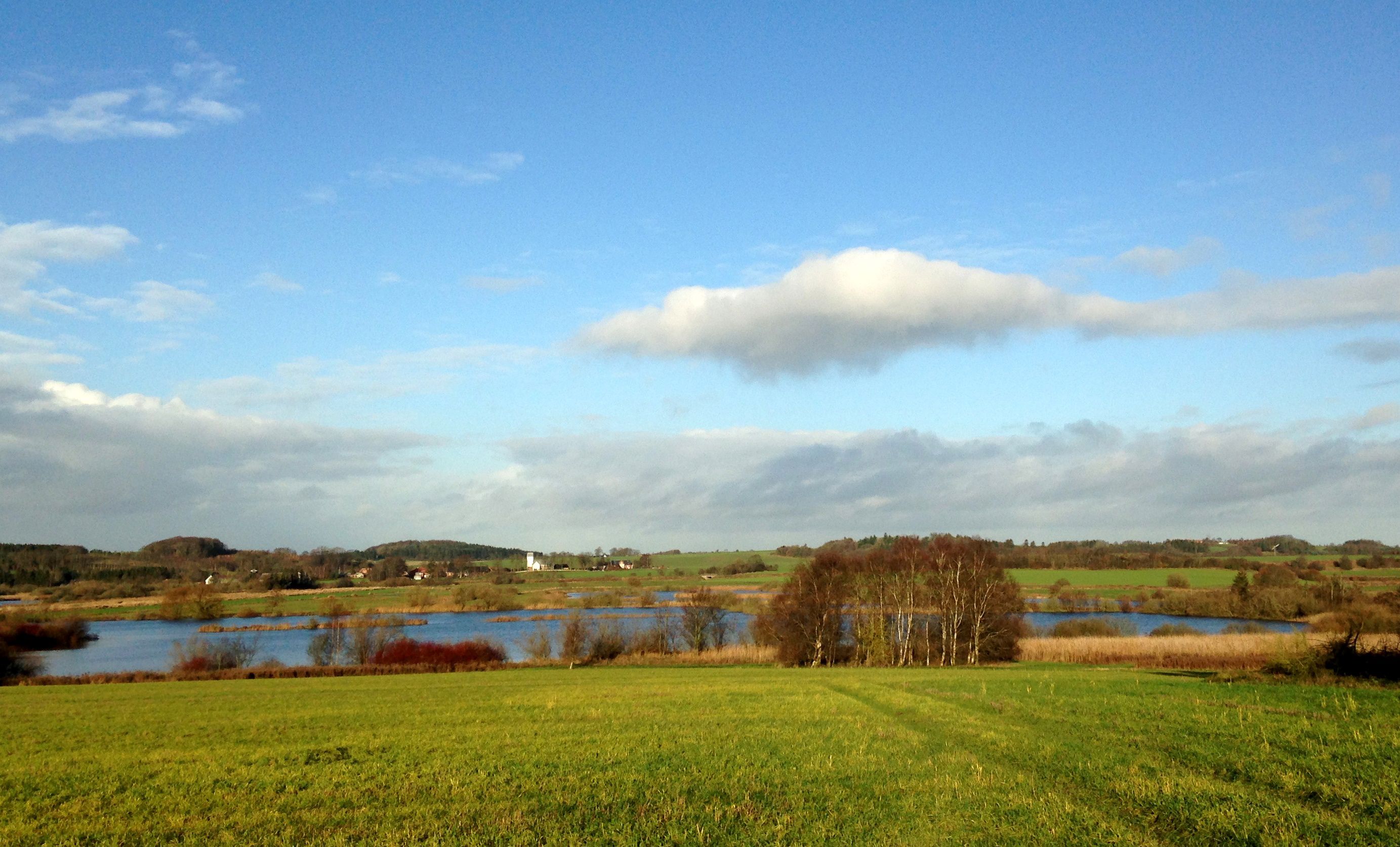Marker og sø med Kousted Kirke i baggrunden