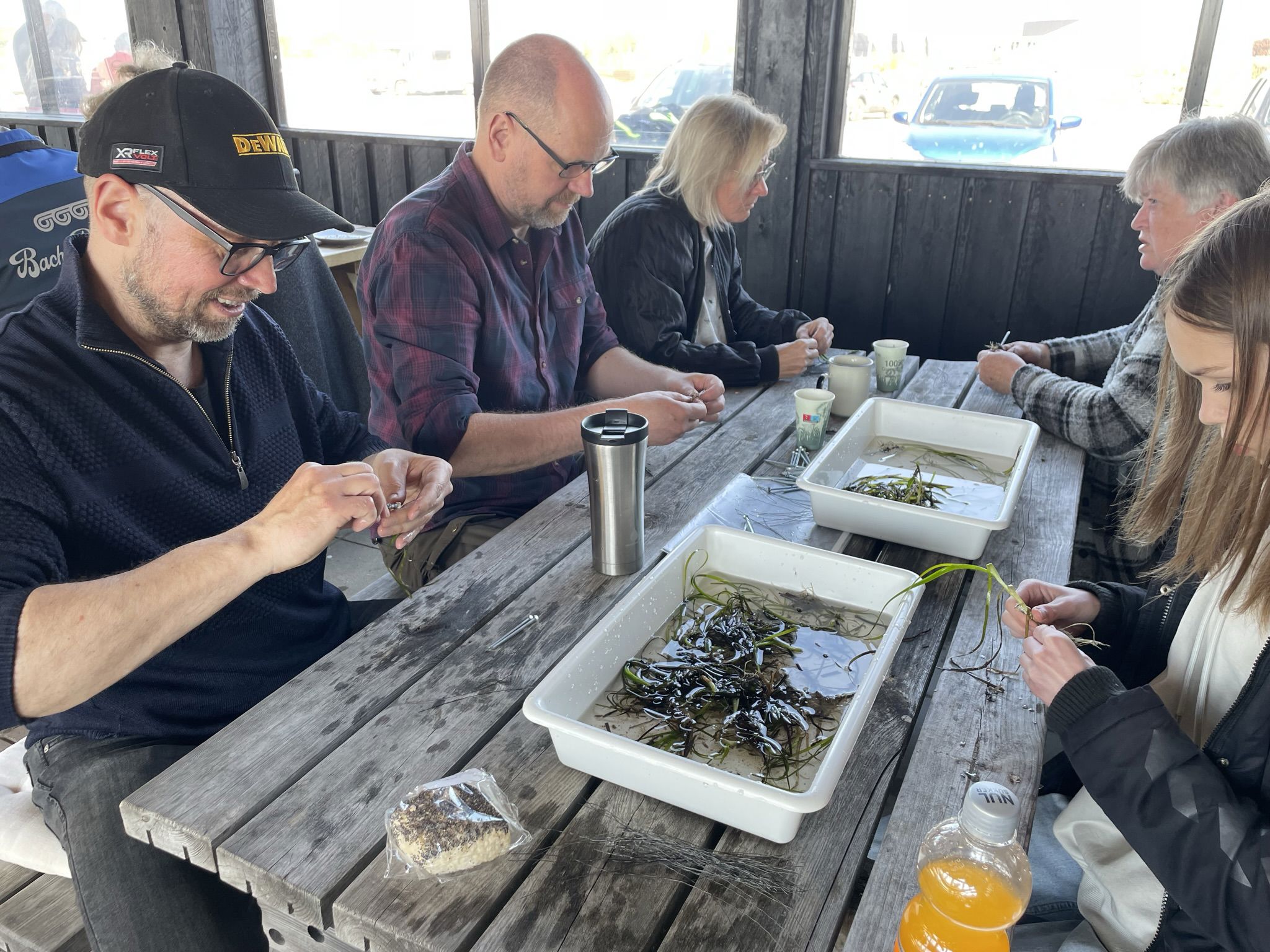 Personer med ålegræs