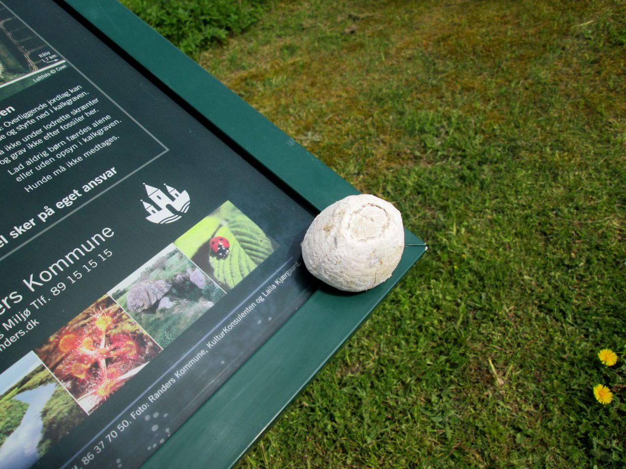Sten på skilt fra Dalbyover Kalkgrav