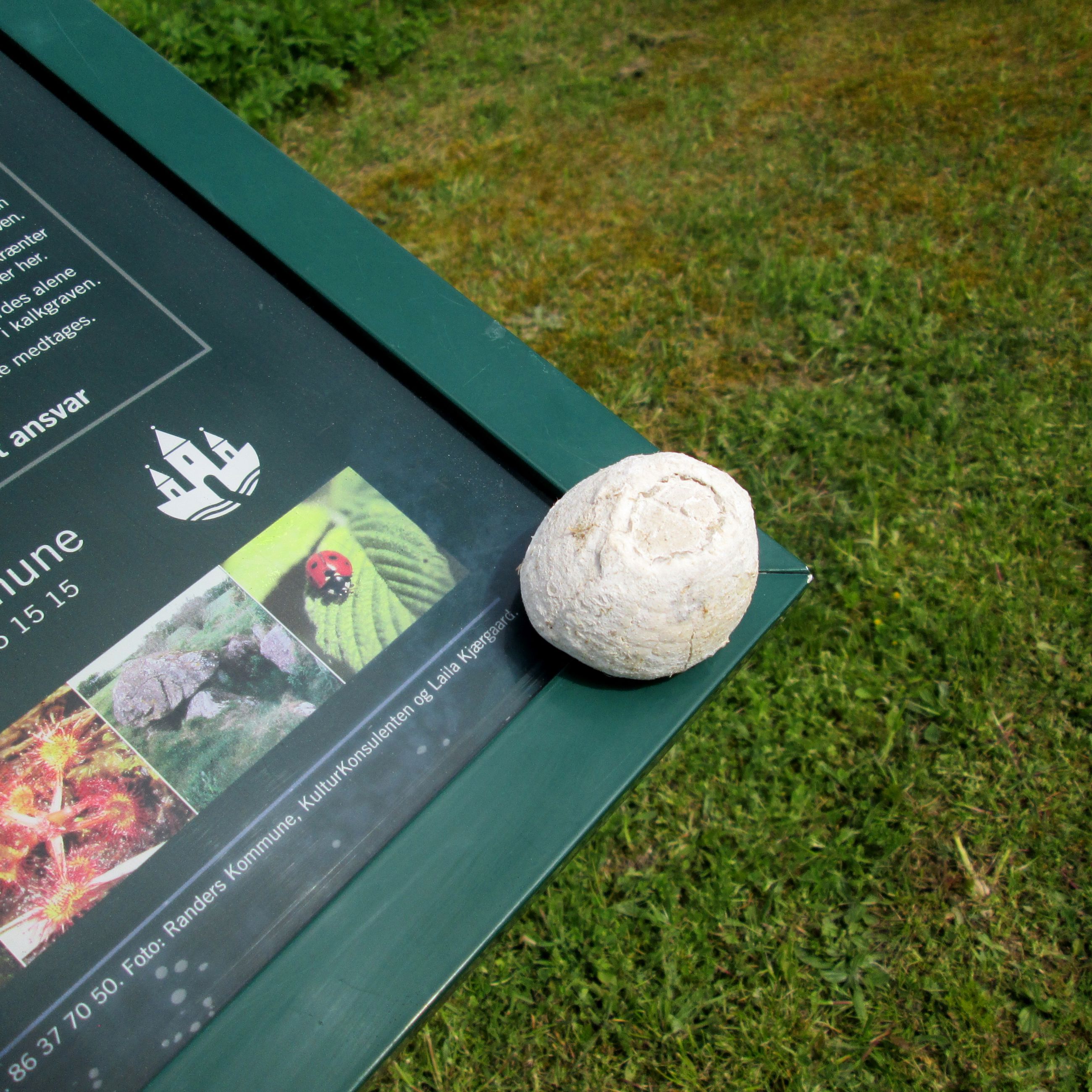 Sten på skilt fra Dalbyover Kalkgrav