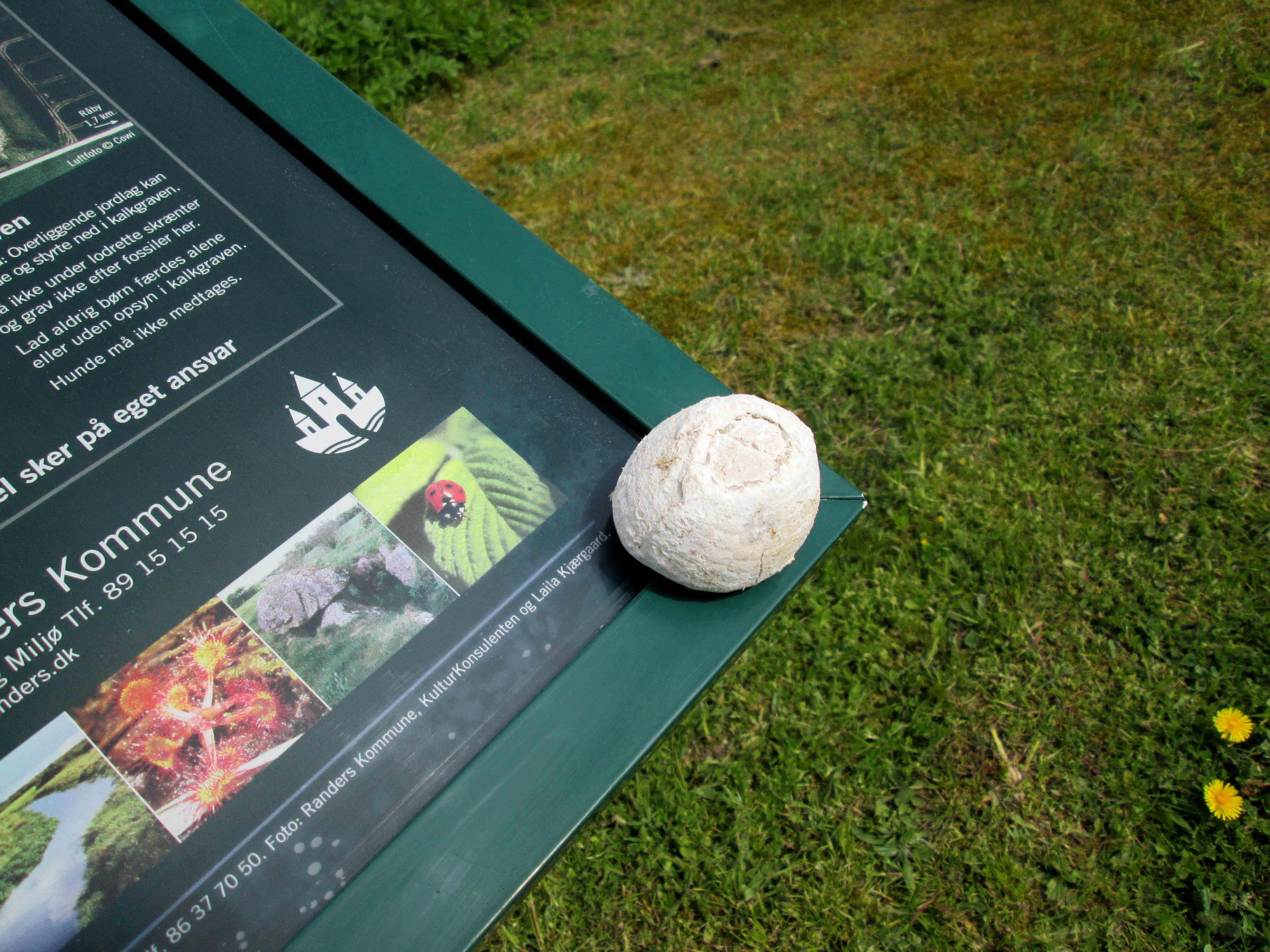 Sten på skilt fra Dalbyover Kalkgrav
